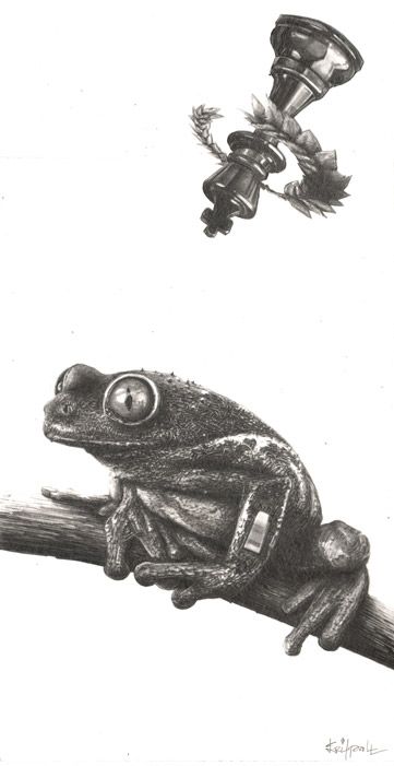 Frog, 2015