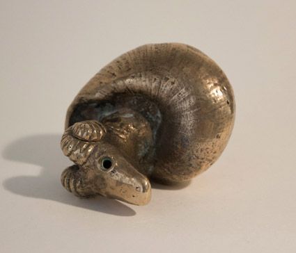 Ethiopian goat snail